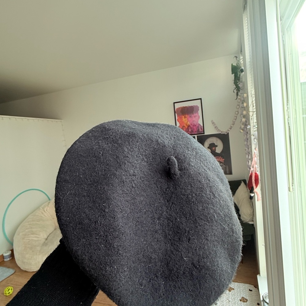 Zara Elegant Black Hat